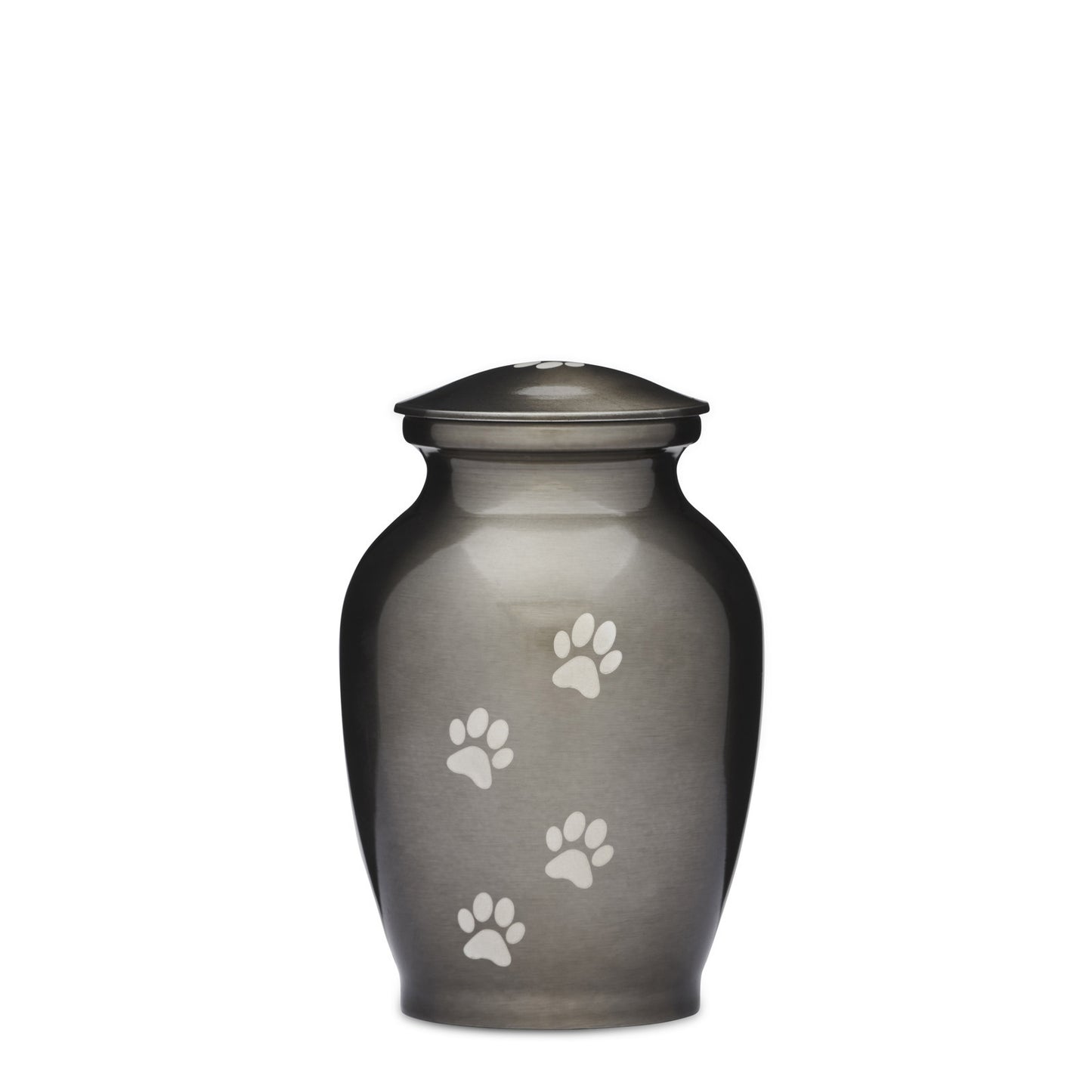 Silver Paws Alloy Urn 6 inch features a sleek silver finish with engraved paw prints, ideal as a Silver Pet Urn 6 inch for pet memorials.