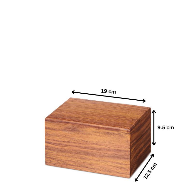 Medium handcrafted wooden box measuring 19x12.5x9.5 cm, perfect for eco-friendly storage and elegant space organization.