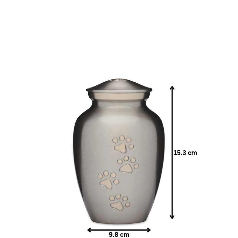 Silver with Gold Paws Urn 6" - PREMIUM URNS