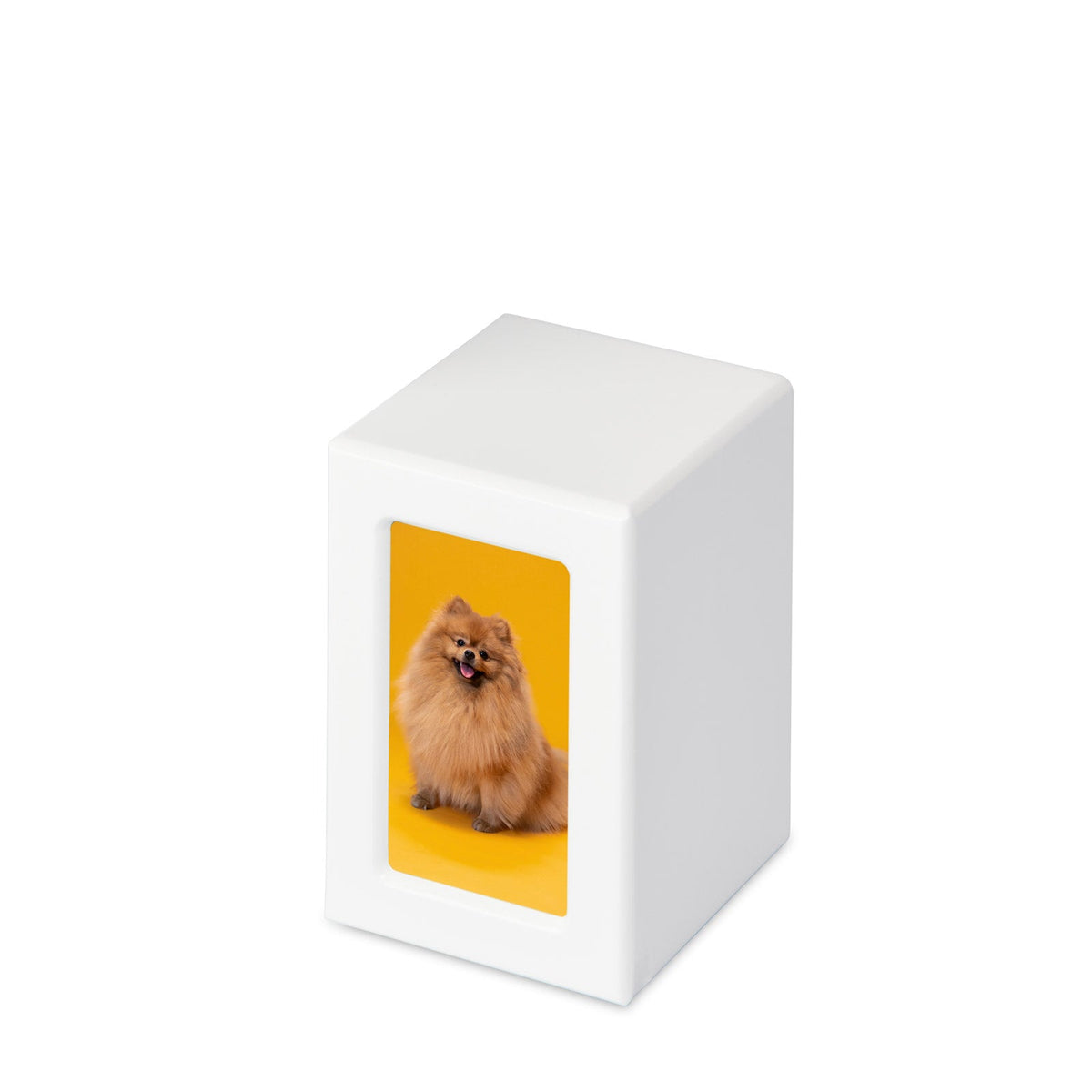 White Photo Urn - Medium - PREMIUM URNS