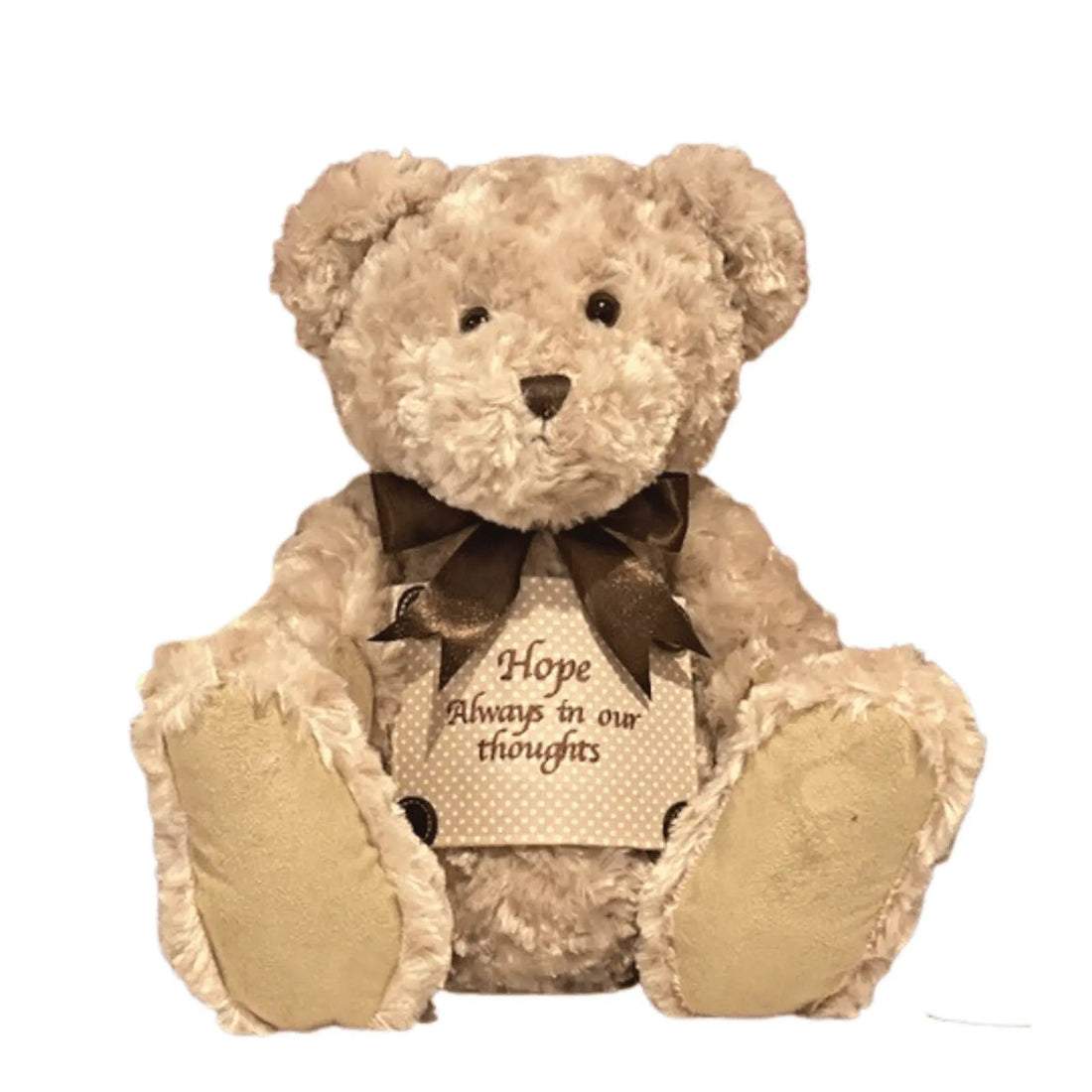 Made to Order Classic Teddy Bear Cremation Urn Large: A Heartfelt Option for Memorials and Cremation Jewellery with Premium Urns by Caskets Direct www.casketsdirect.com.au - PREMIUM URNS