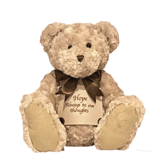 Made to Order Classic Teddy Bear Cremation Urn Large: A Heartfelt Option for Memorials and Cremation Jewellery with Premium Urns by Caskets Direct www.casketsdirect.com.au - PREMIUM URNS