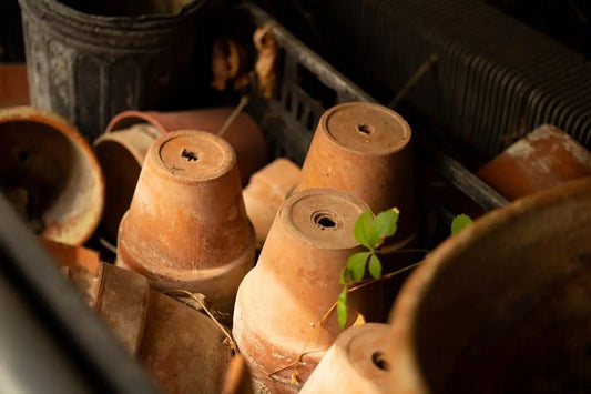 The Environmental Impact of Different Urn Materials - PREMIUM URNS