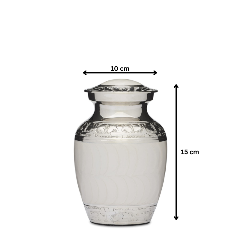 Medium 6" solid brass urn with white enamel and nickel finish, featuring 10 cm width and 15 cm height, ideal for memorial use.