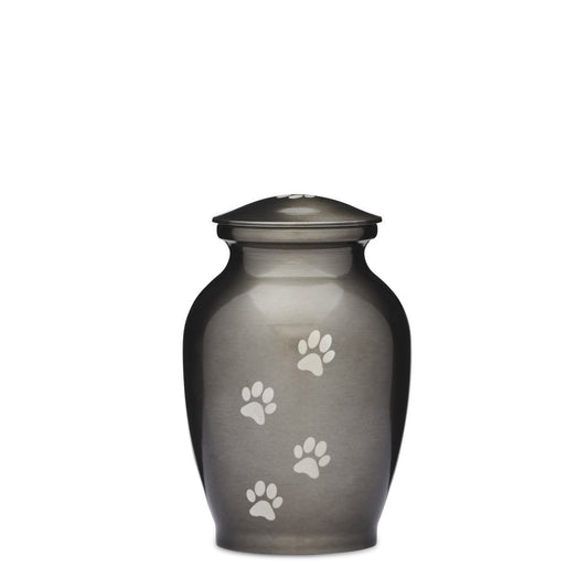 Silver Paws Alloy Urn 6 inch features a sleek silver finish with engraved paw prints, ideal as a Silver Pet Urn 6 inch for pet memorials.