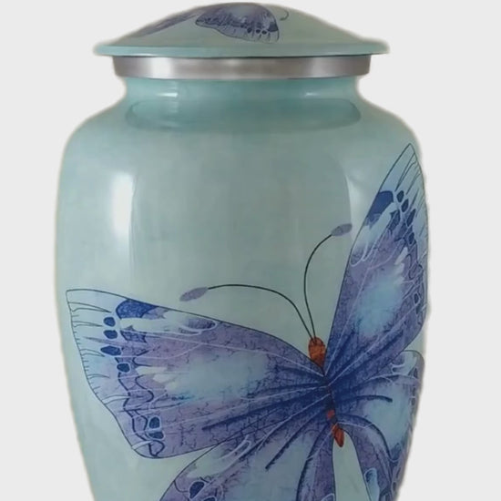 Blue butterfly urn for ashes video