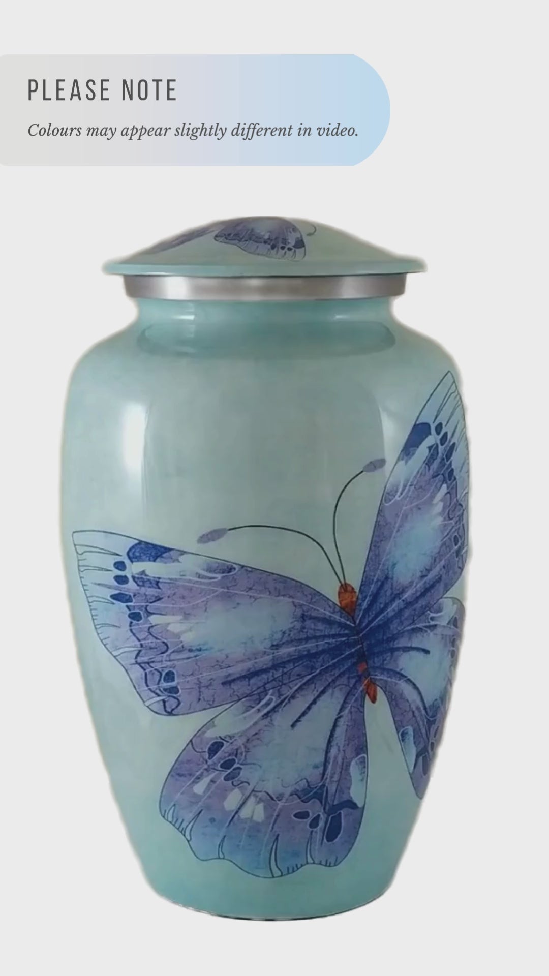 Blue butterfly urn for ashes video