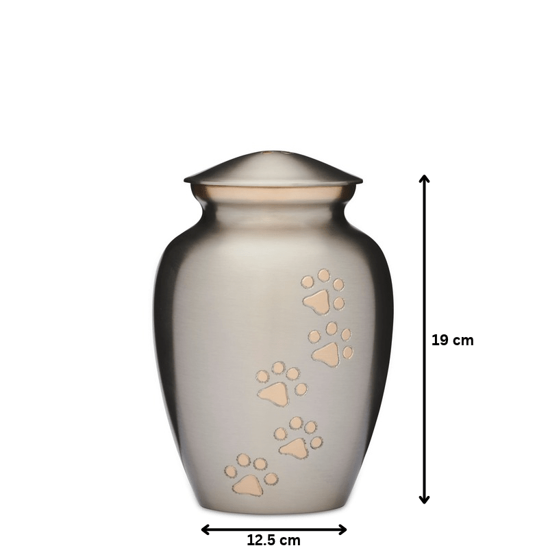 Silver with Gold Paws Urn 7" - PREMIUM URNS