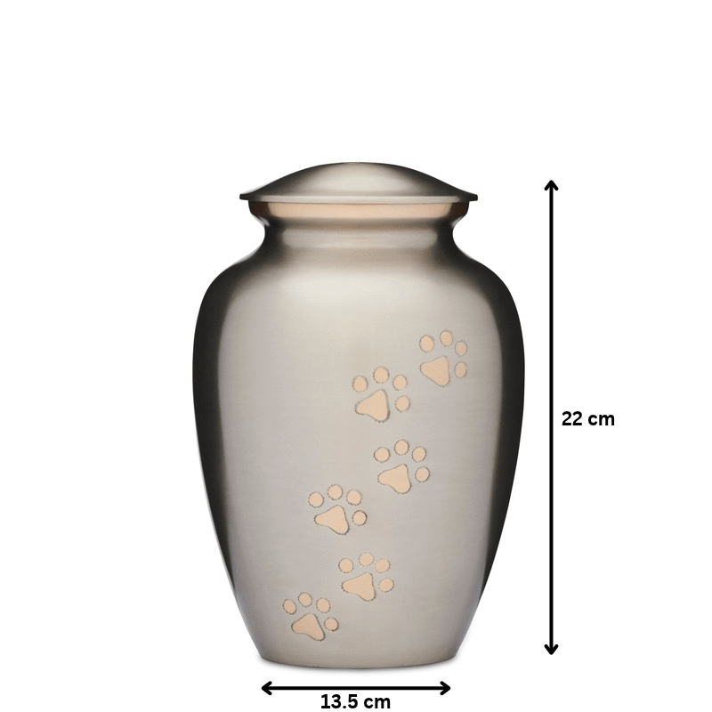Silver with Gold Paws Urn 8" - PREMIUM URNS