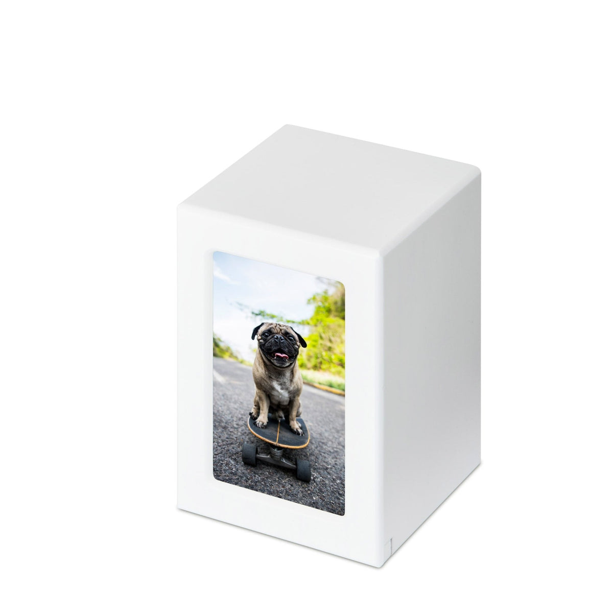 White Photo Urn - Large - PREMIUM URNS